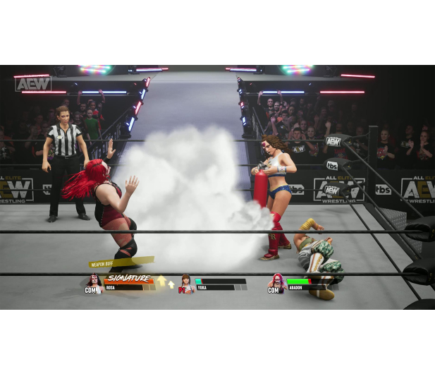 PC AEW: Fight Forever - 1065272 - zdjęcie 7